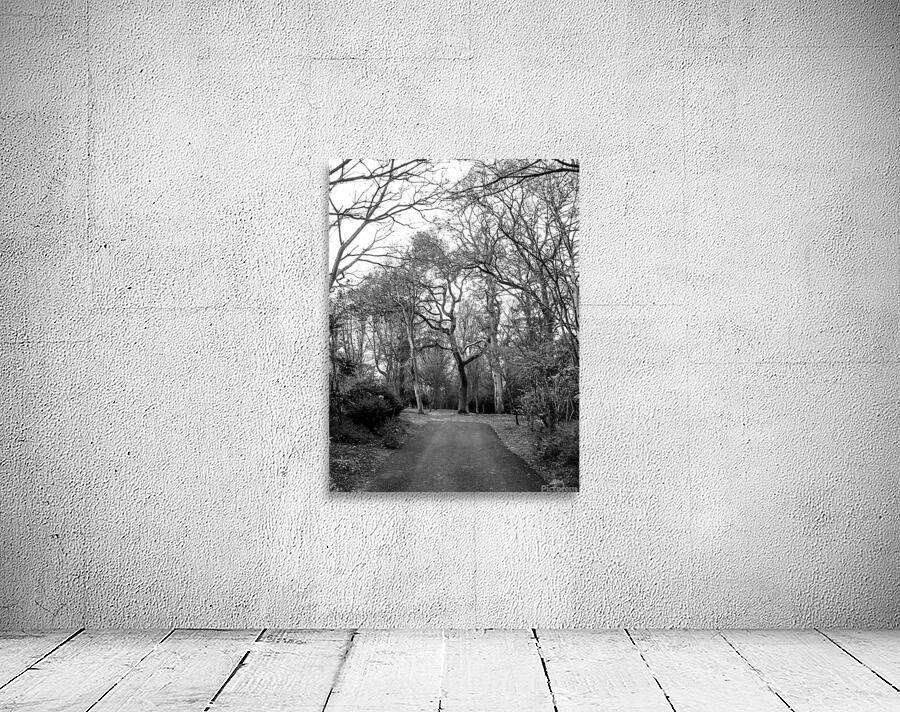 Dead Garden Wall Preview