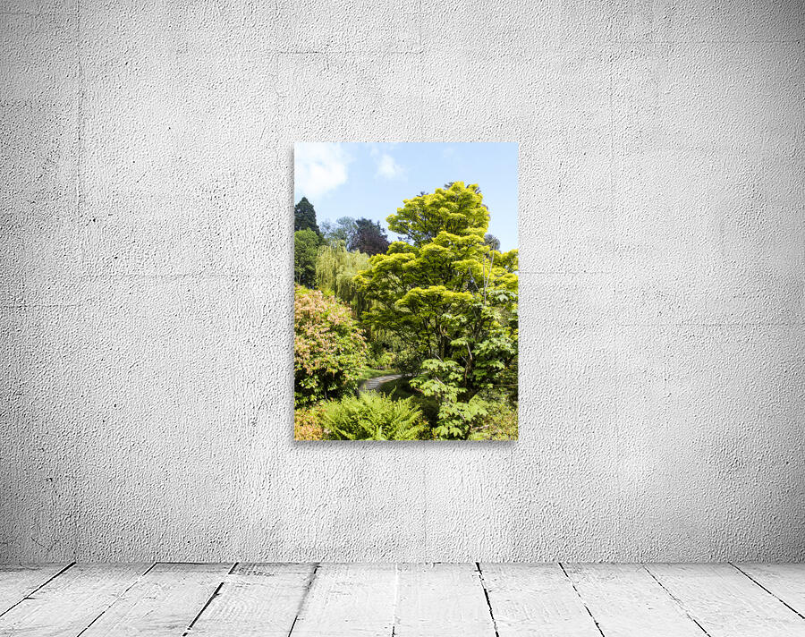 Intense Green Wall Preview