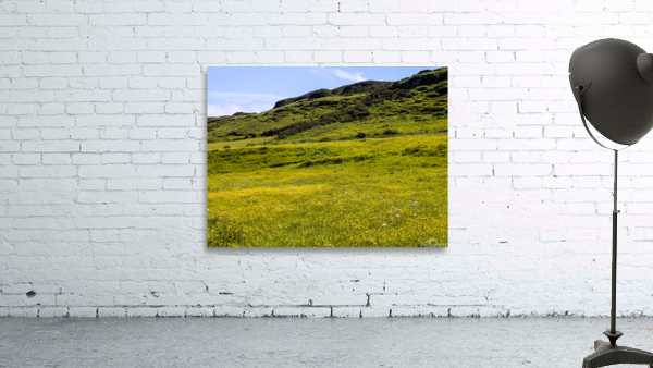 Flowery Field Wall Preview