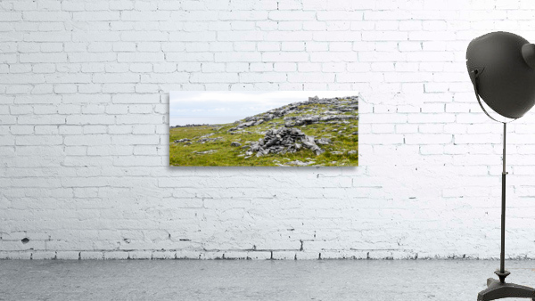 Rock Field Wall Preview