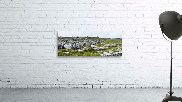 Rock Field II Wall Preview