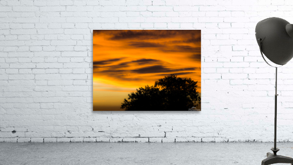 Fire in the Sky Wall Preview