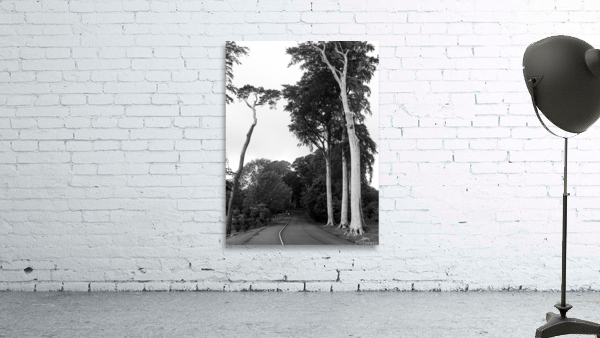 Way Wall Preview