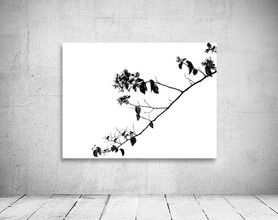 Tree Branch II Wall Preview