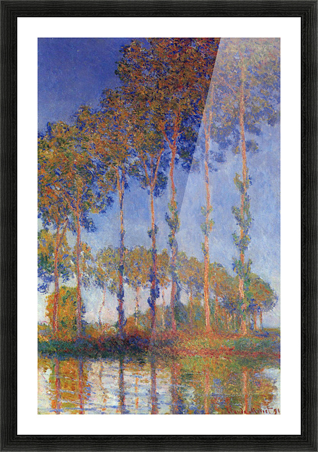 Poplars in the Epte sunset Picture Frame print
