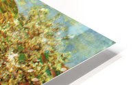 Flowering apple trees HD Metal print