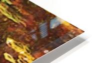 Nympheas HD Metal print