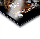 create a professional and realistic image of a ti Acrylic print