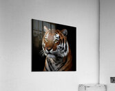 create a professional and realistic image of a ti Acrylic Print