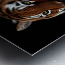 create a professional and realistic image of a ti Metal print