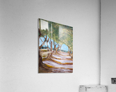 Madrone Valley Acrylic Print
