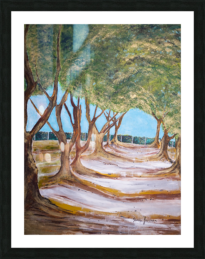 Madrone Valley Picture Frame print