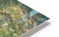 Madrone Valley HD Metal print