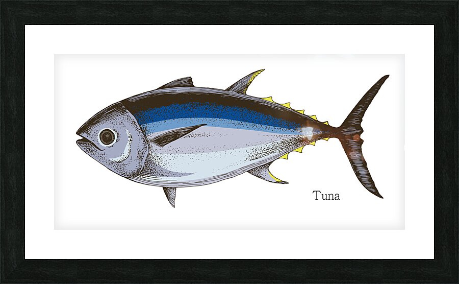Tuna  Picture Frame print