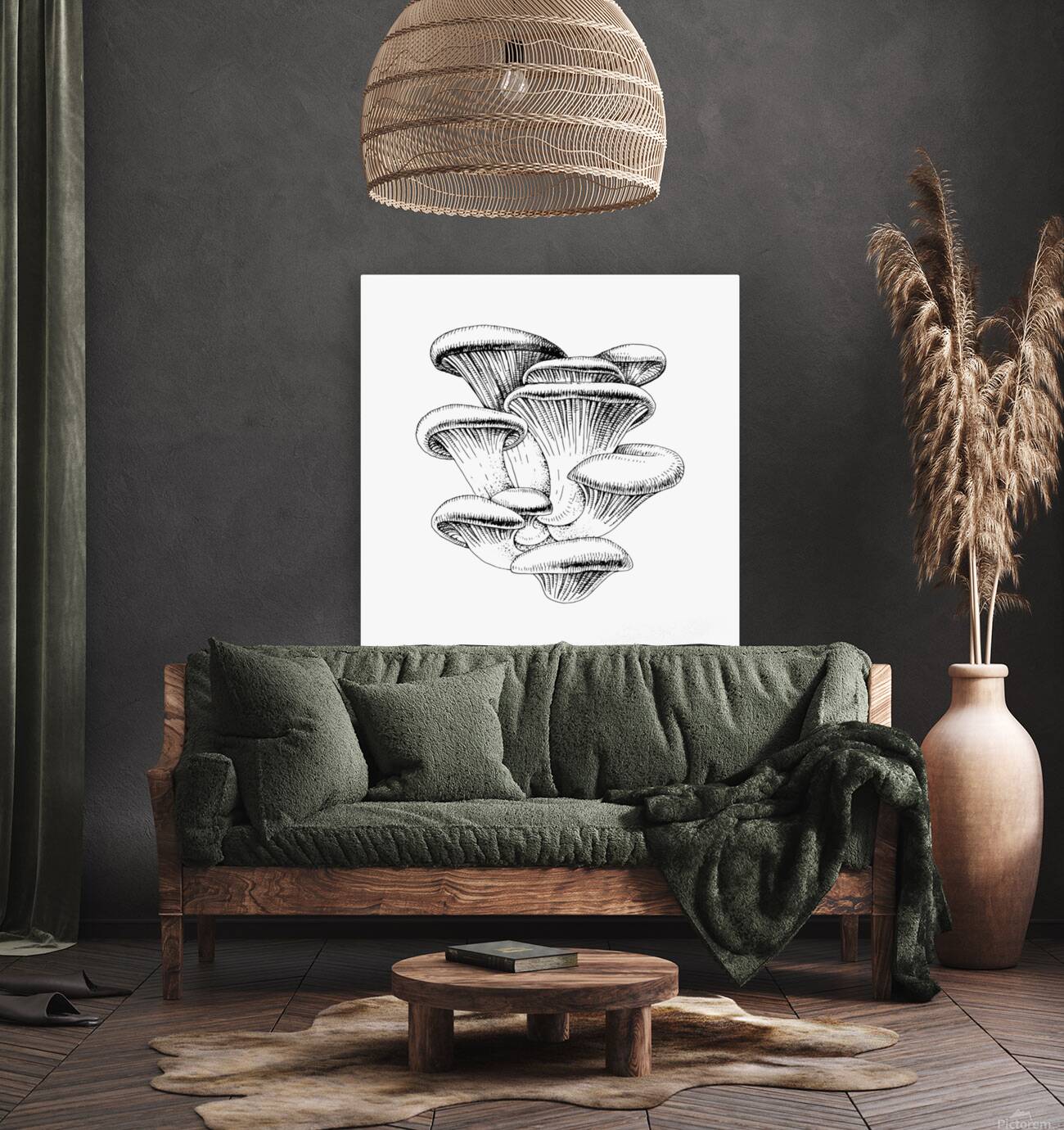Oyster  Reproduction