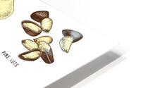 Nuts  HD Metal print
