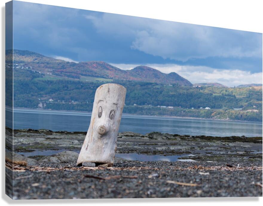 Lookout log