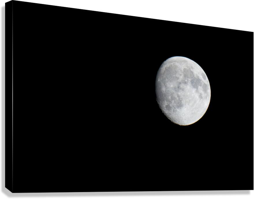 The Moon