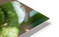 Flower HD Metal print