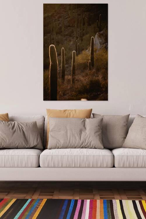 Saguaro Desert Photography Golden by ALEXEROOT
