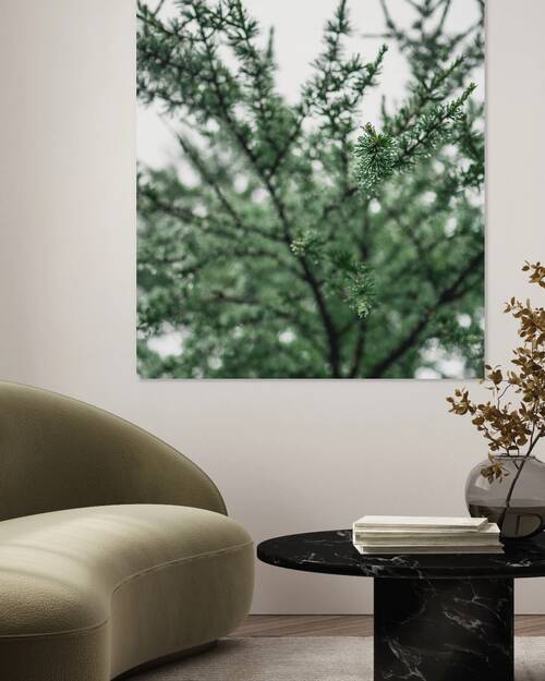 Green Tree Outdoor Photography by ALEXEROOT