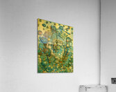 Spiral Treasure Acrylic Print