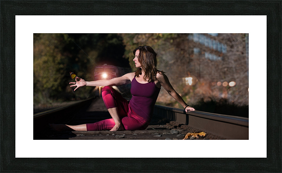 Zen on tracks Picture Frame print
