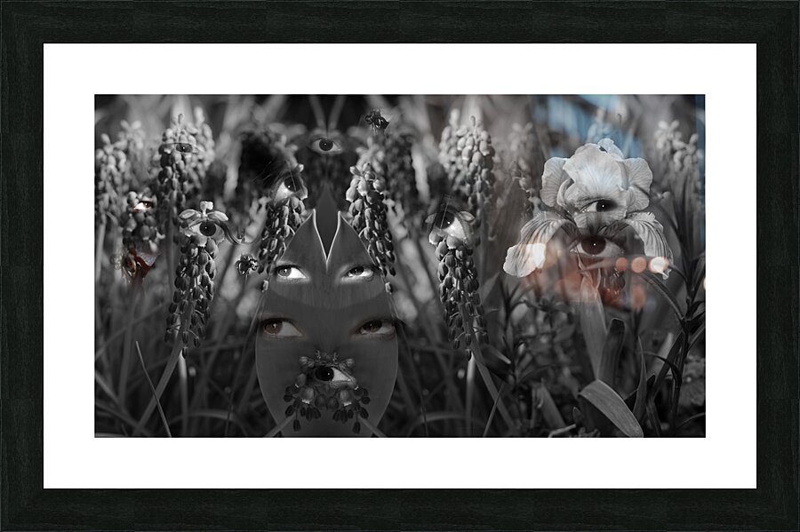EyesWk1 Picture Frame print