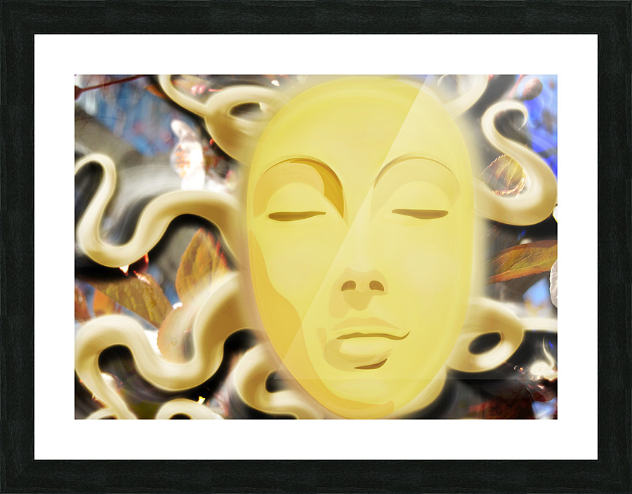 VioLin St. Face 1 Picture Frame print