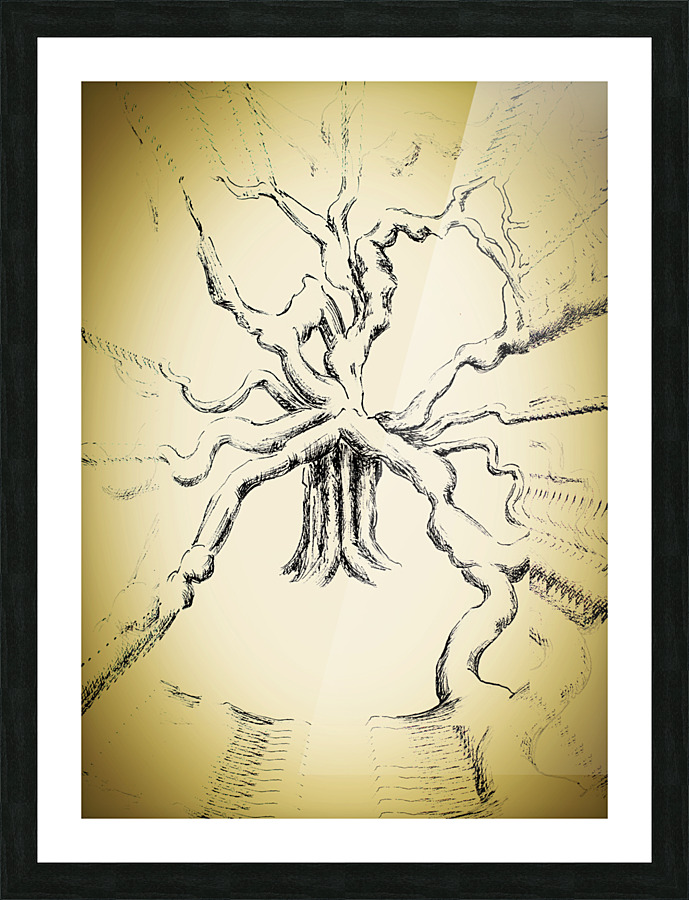 The Oldest Tree Picture Frame print