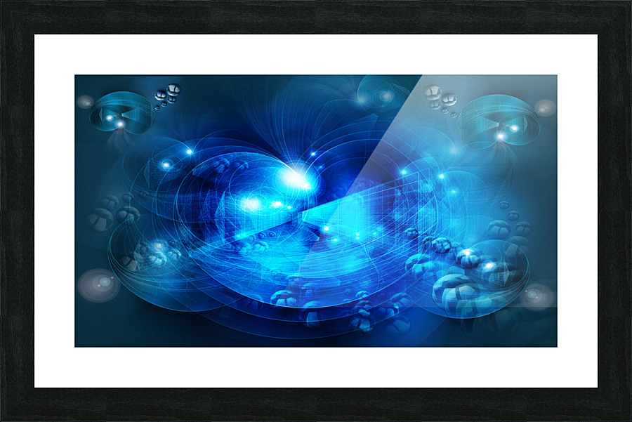 Shells Picture Frame print