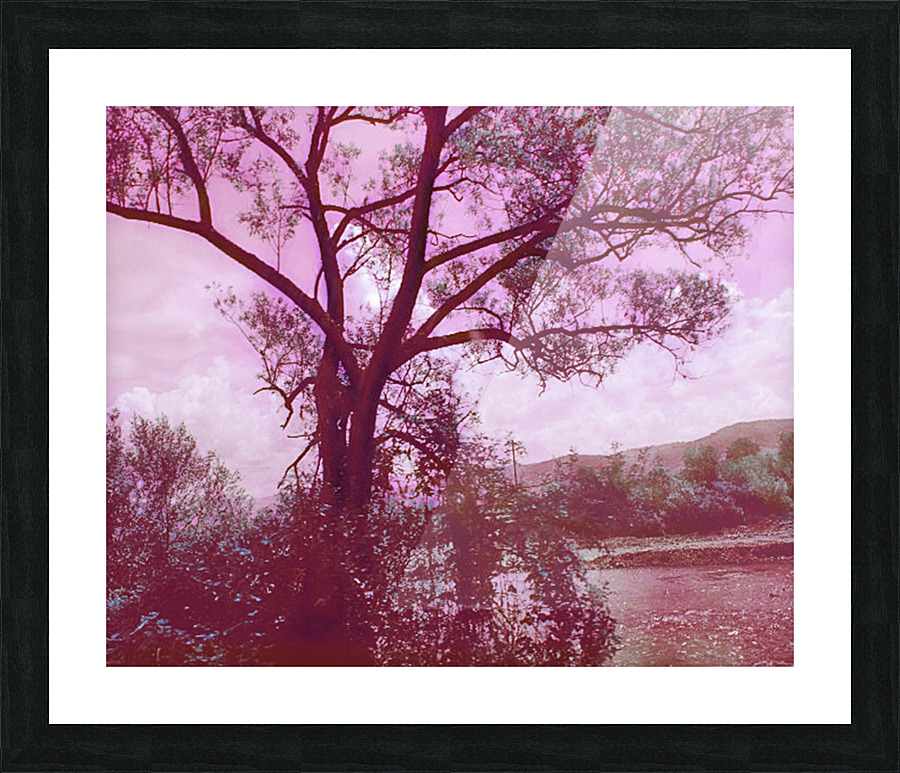 TheTreeMagRed Picture Frame print