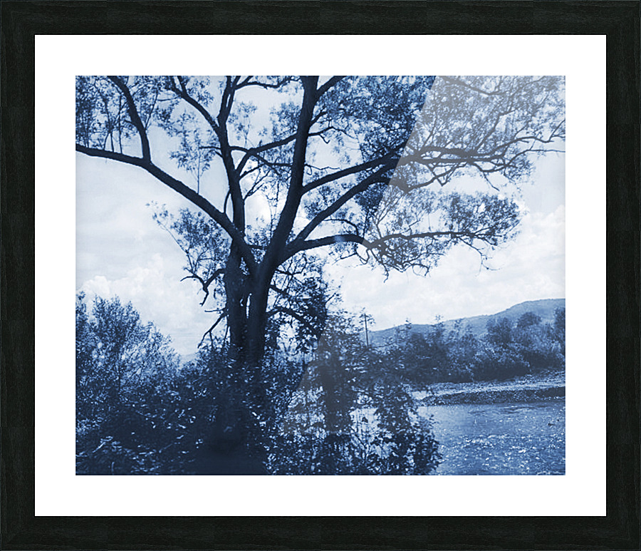 TheTreeMagBlue Picture Frame print
