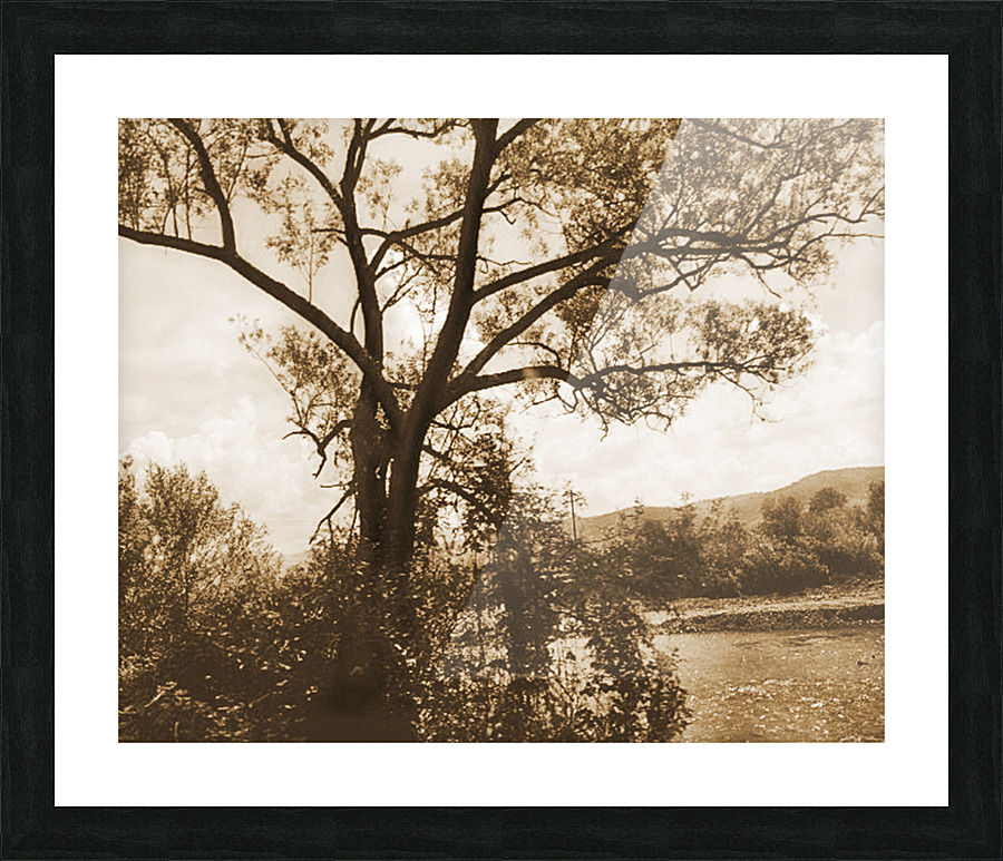 TheTreeMagGreen Picture Frame print