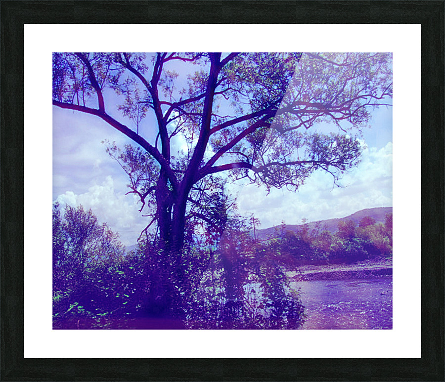 TheTreeMag Picture Frame print