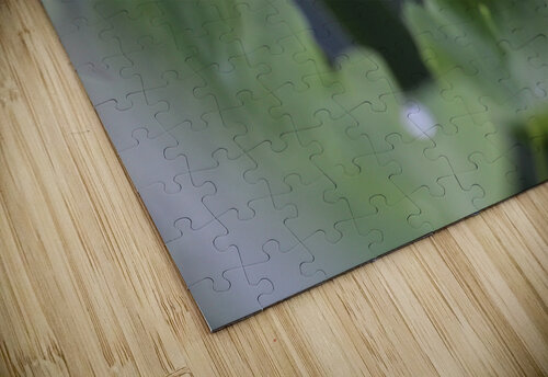IMG 6581 TheOn puzzle
