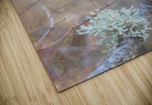 ParasiticParade1 TheOn puzzle