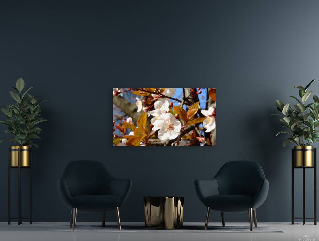AViolinStory FlowerPic.white Reproduction