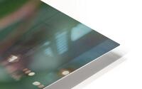 IMG 6567 HD Metal print