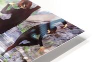 THM12 H2400 HD Metal print