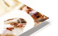 MeditationTheory HD Metal print