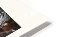 Little Swan HD Metal print