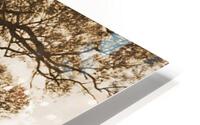 TheTreeMagGreen HD Metal print