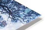 TheTreeMagBlue HD Metal print