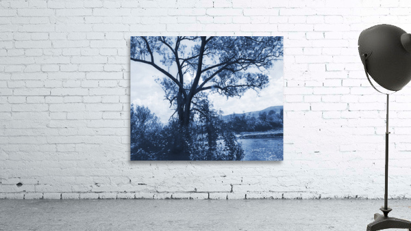 TheTreeMagBlue Wall Preview