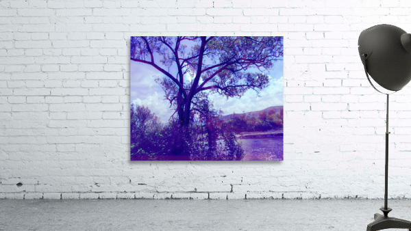 TheTreeMag Wall Preview