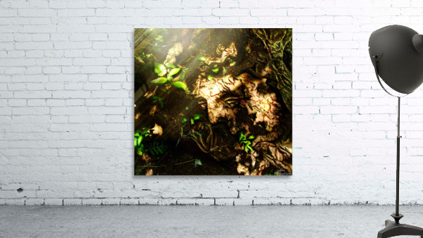 CanDLumina Wall Preview