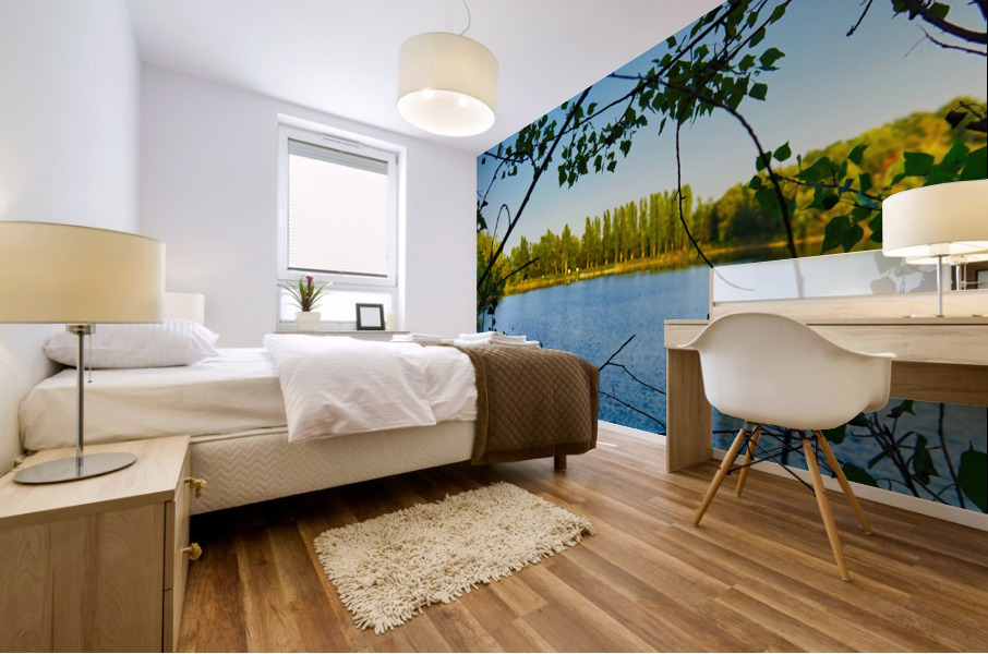 Rohrhofer Lake Mural print
