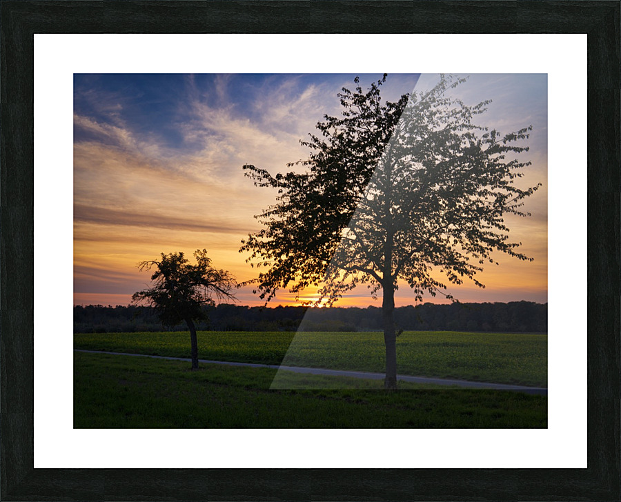 Sunset on the fields Picture Frame print