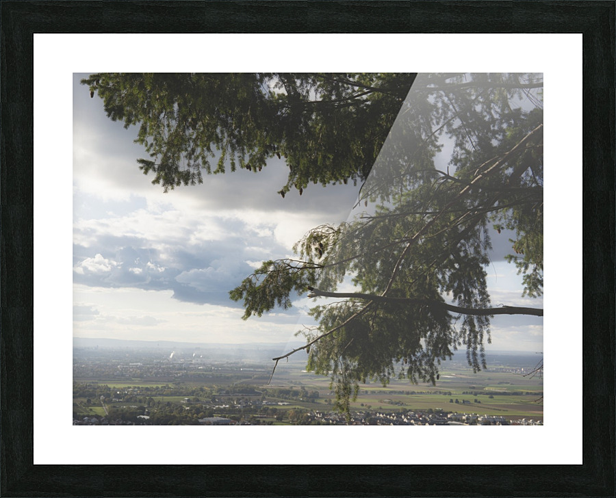 Rhine valley Picture Frame print
